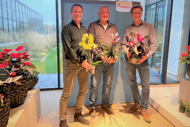 Bromelia-activiteiten overgenomen door Anthura