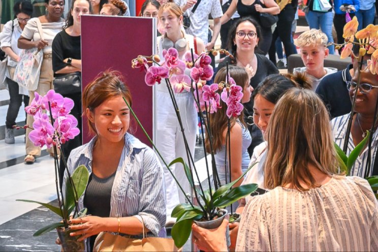 Telers schenken shoppers honderden orchideen