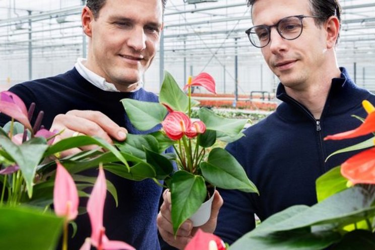 Hoe Stolk Brothers plant biologisch gezond houdt