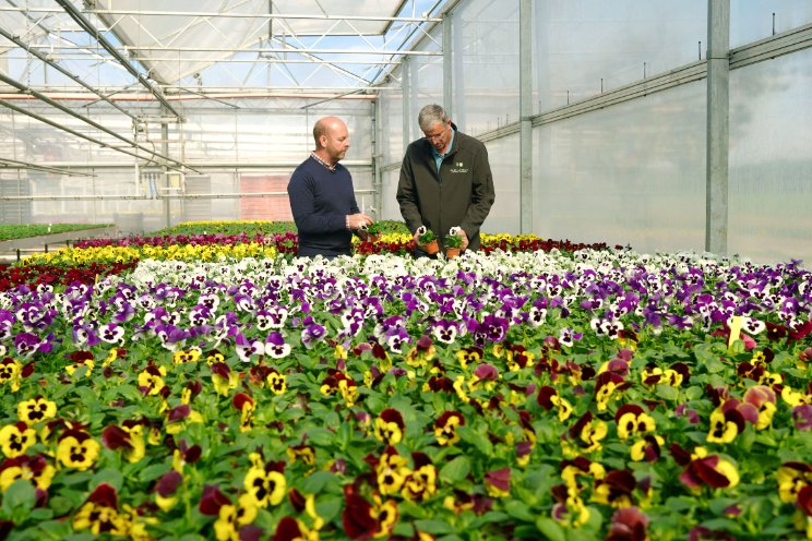 Syngenta Flowers introduceert Delta Pro