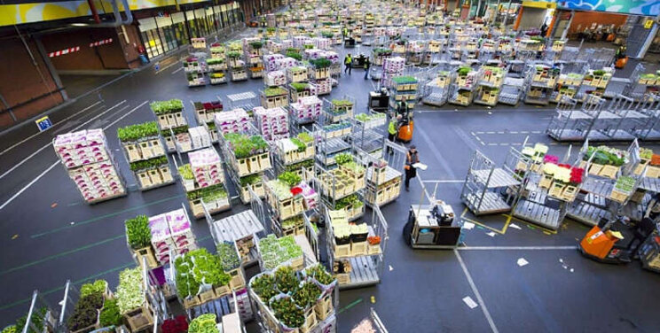 Veilen verlaat door storing FloraHolland