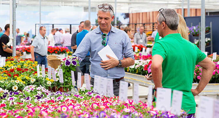 Positieve stemming tijdens zonovergoten FlowerTrials