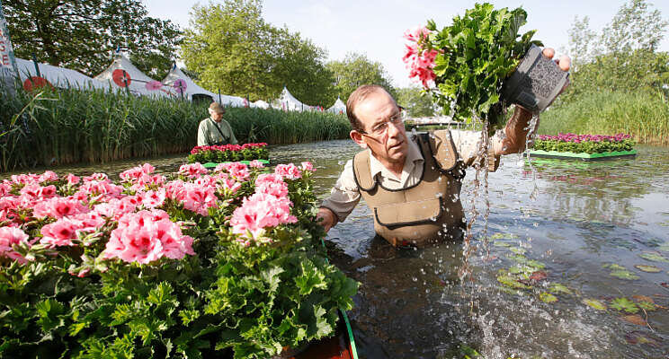 Drijvende geraniums stelen show op zomerevent