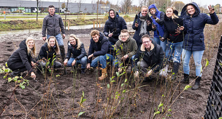 Bedrijven leggen bijenpark aan op Trade Parc Westland