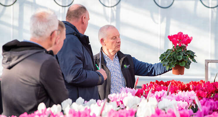 Video: Terugblik Cyclamen Dagen