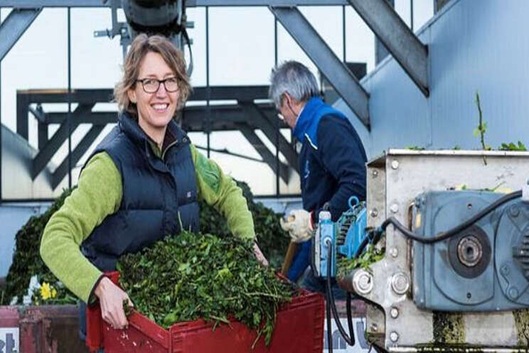 'Kringlopen sluiten met groene meststoffen'